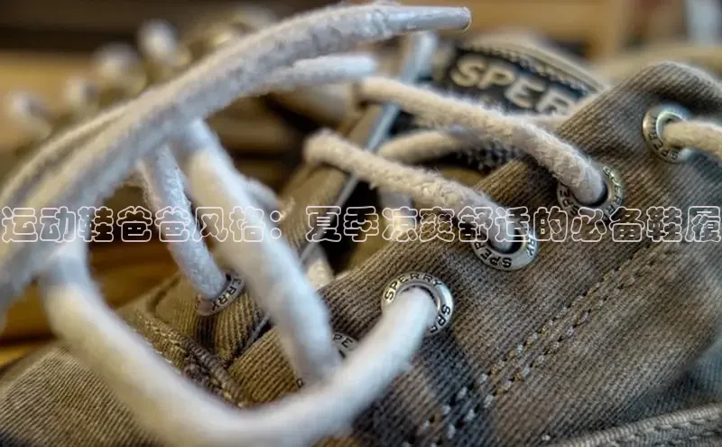 意昂意昂体育入口百度学术运动鞋爸爸风格：夏季凉爽舒适的必备鞋履